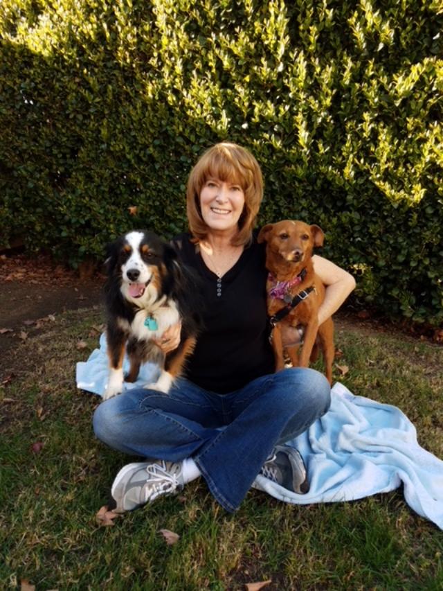 Dog Trainers in North County San Diego Wonder Dog Training About Us